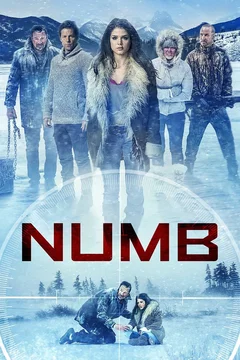 Affiche du film Numb