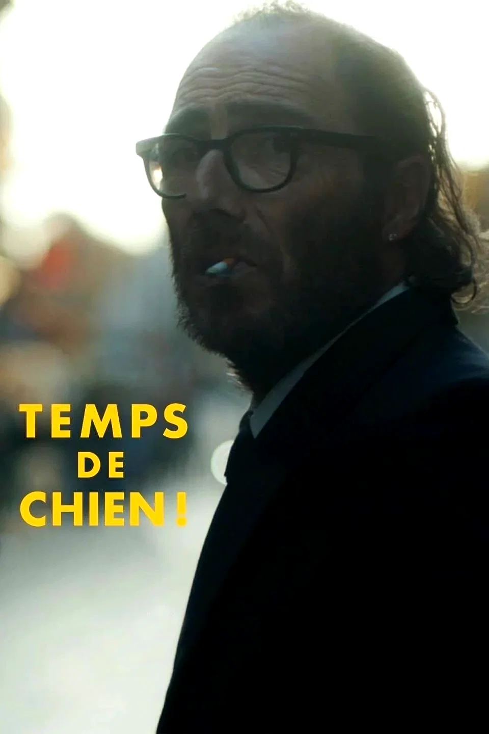 Affiche du film : Temps de chien !