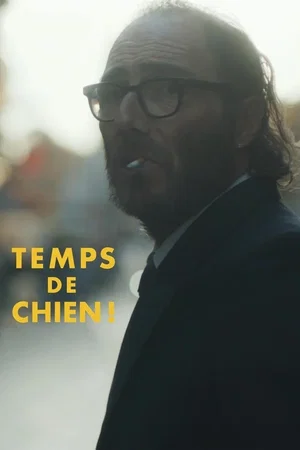 Affiche du film : Temps de chien !