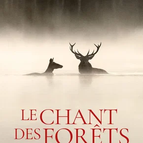 Photo du film : Le chant des forêts