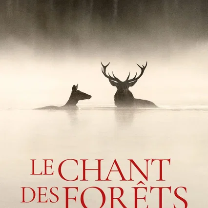 Miniature photo du film : Le chant des forêts