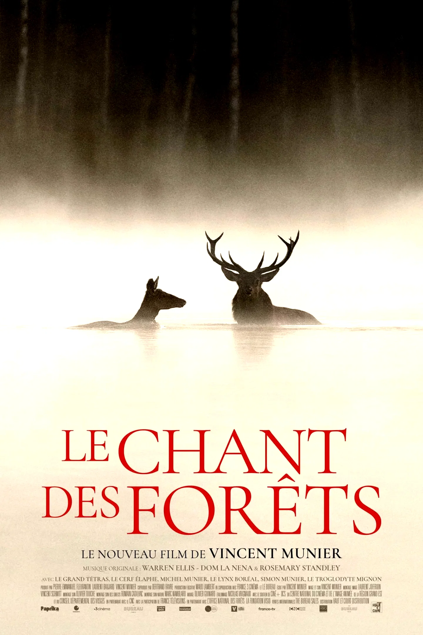 Photo 4 du film : Le chant des forêts