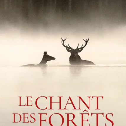 Miniature photo du film : Le chant des forêts