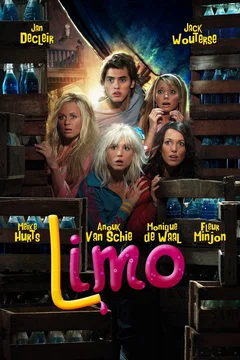Affiche du film Limo