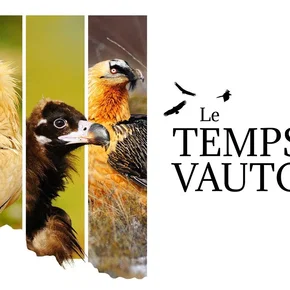 Photo du film : Le Temps des vautours