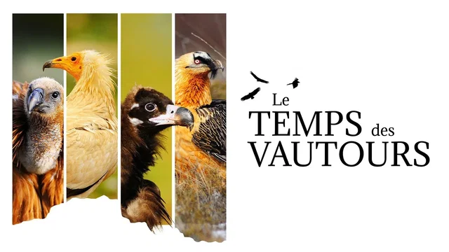 Photo 1 du film : Le Temps des vautours