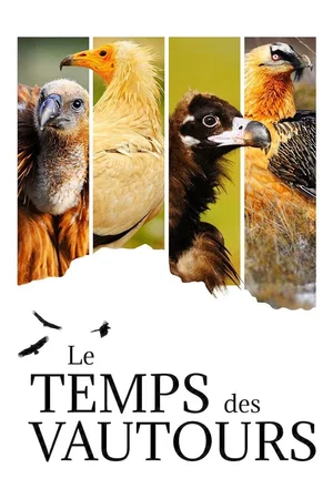 Affiche du film : Le Temps des vautours