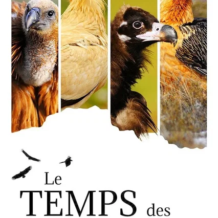 Miniature photo du film : Le Temps des vautours