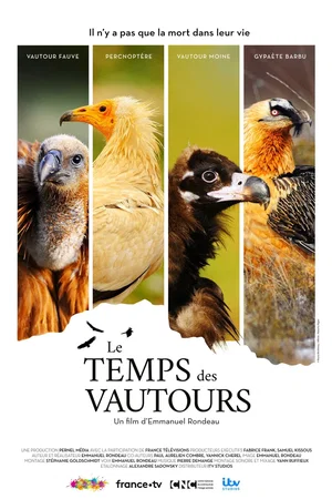 Photo 3 du film : Le Temps des vautours