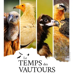 Photo du film : Le Temps des vautours