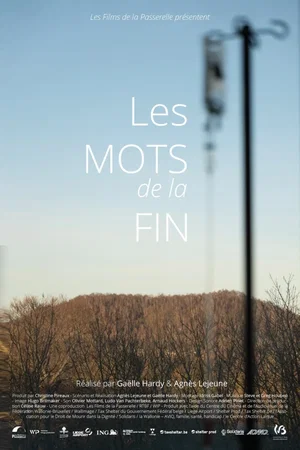 Affiche du film : Les mots de la fin
