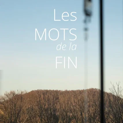 Miniature photo du film : Les mots de la fin