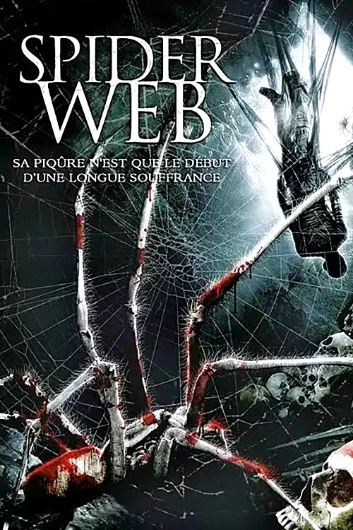 Affiche du film : Spider Web