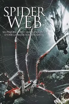 Affiche du film Spider Web
