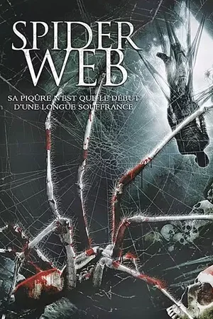 Affiche du film : Spider Web