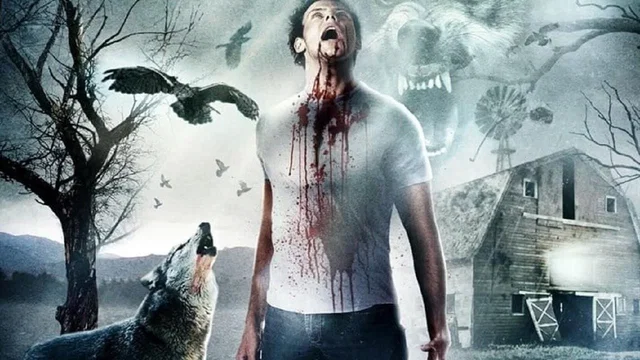 Photo 2 du film : L'Homme aux yeux de loup