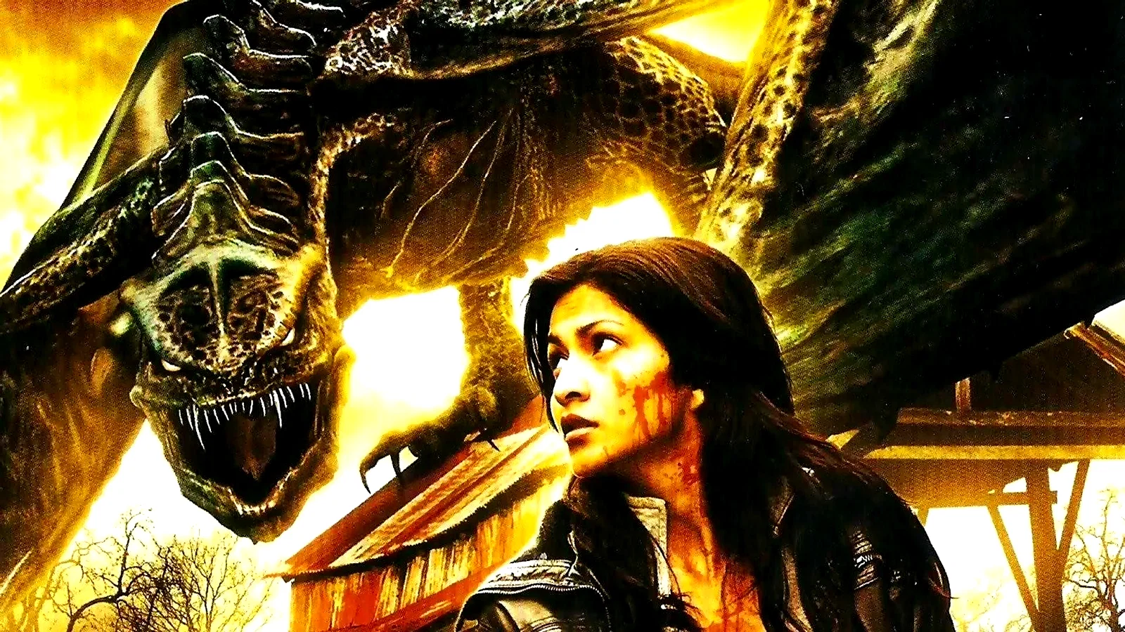 Photo 3 du film : Wyvern : Le Reptile volant