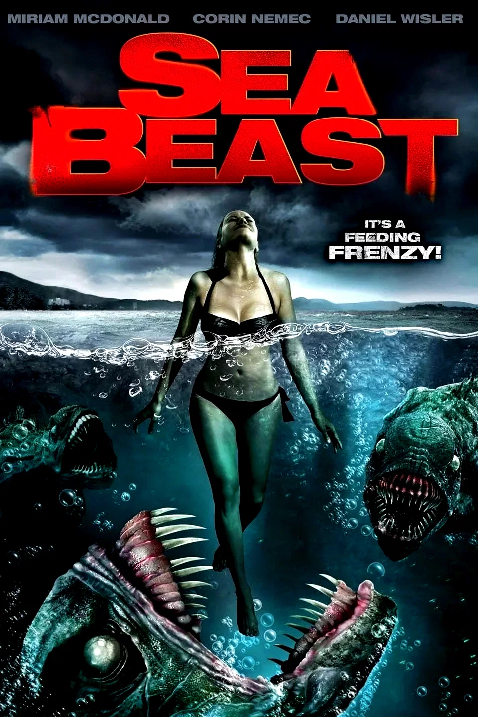 Affiche du film : Sea Attack