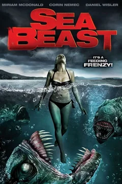 Affiche du film Sea Attack
