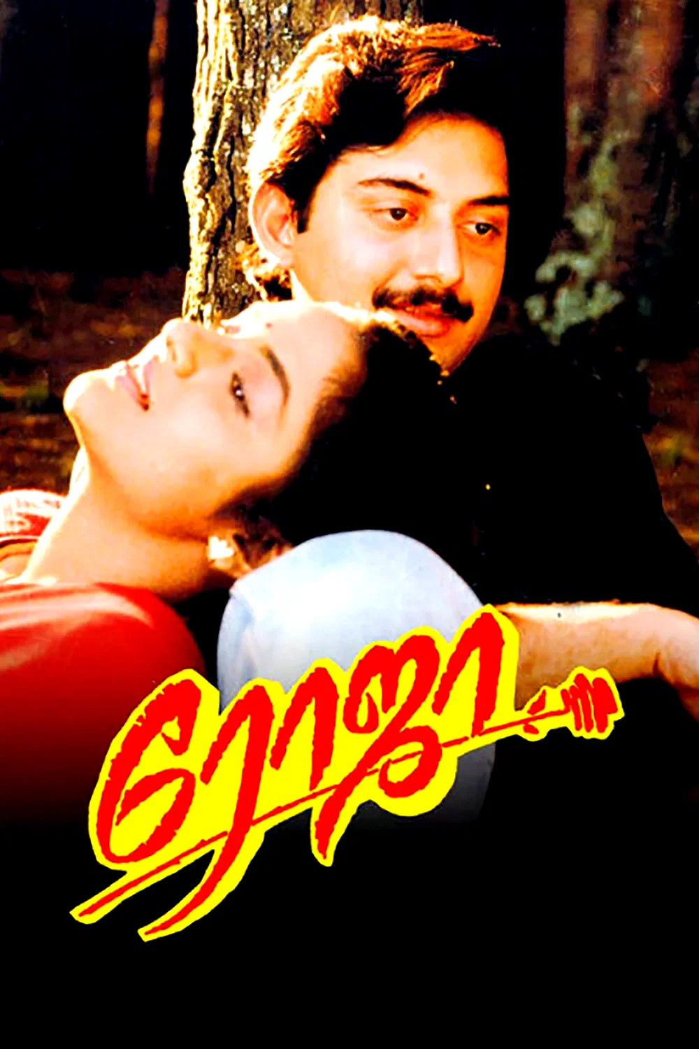Affiche du film : Roja