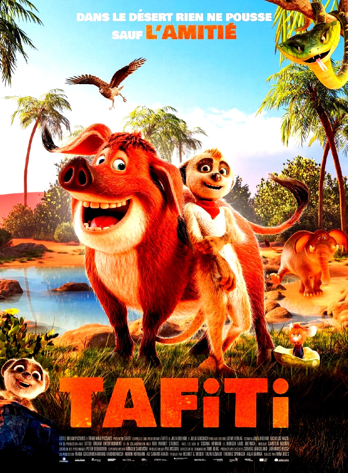Affiche du film : Tafiti