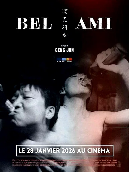 Affiche du film : Bel ami