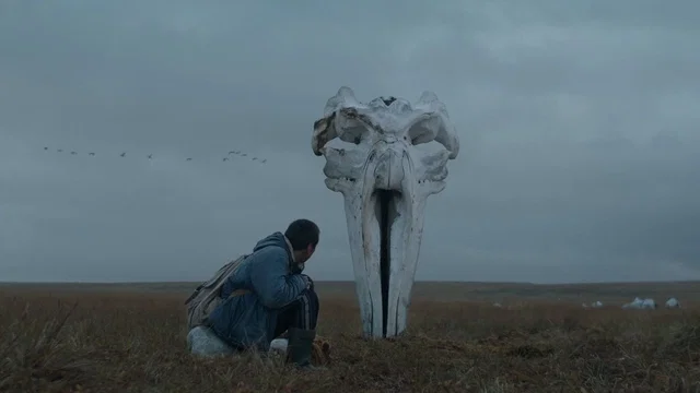 Affiche du film : Le Chasseur de baleines