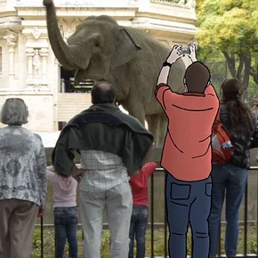 Photo du film : Zoofobia