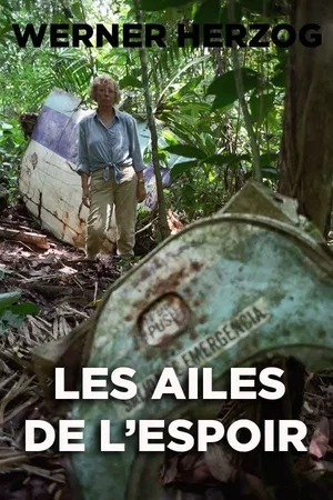 Affiche du film : Les Ailes de l'espoir