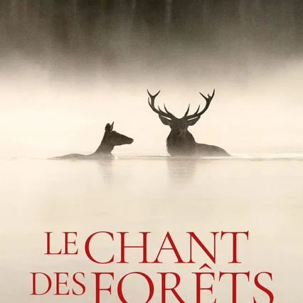 Miniature photo du film : Le chant des forêts