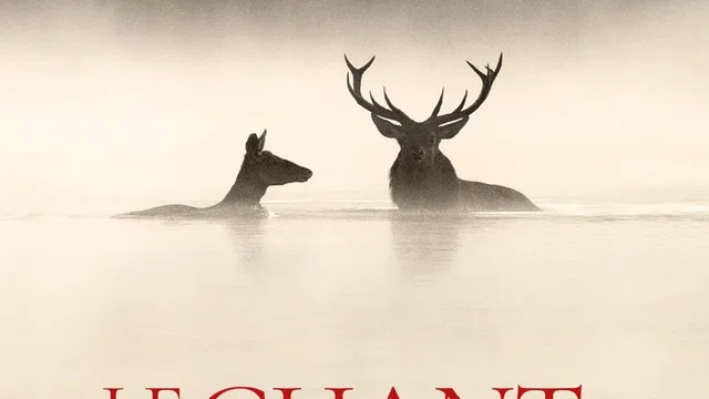Affiche du film : Le chant des forêts