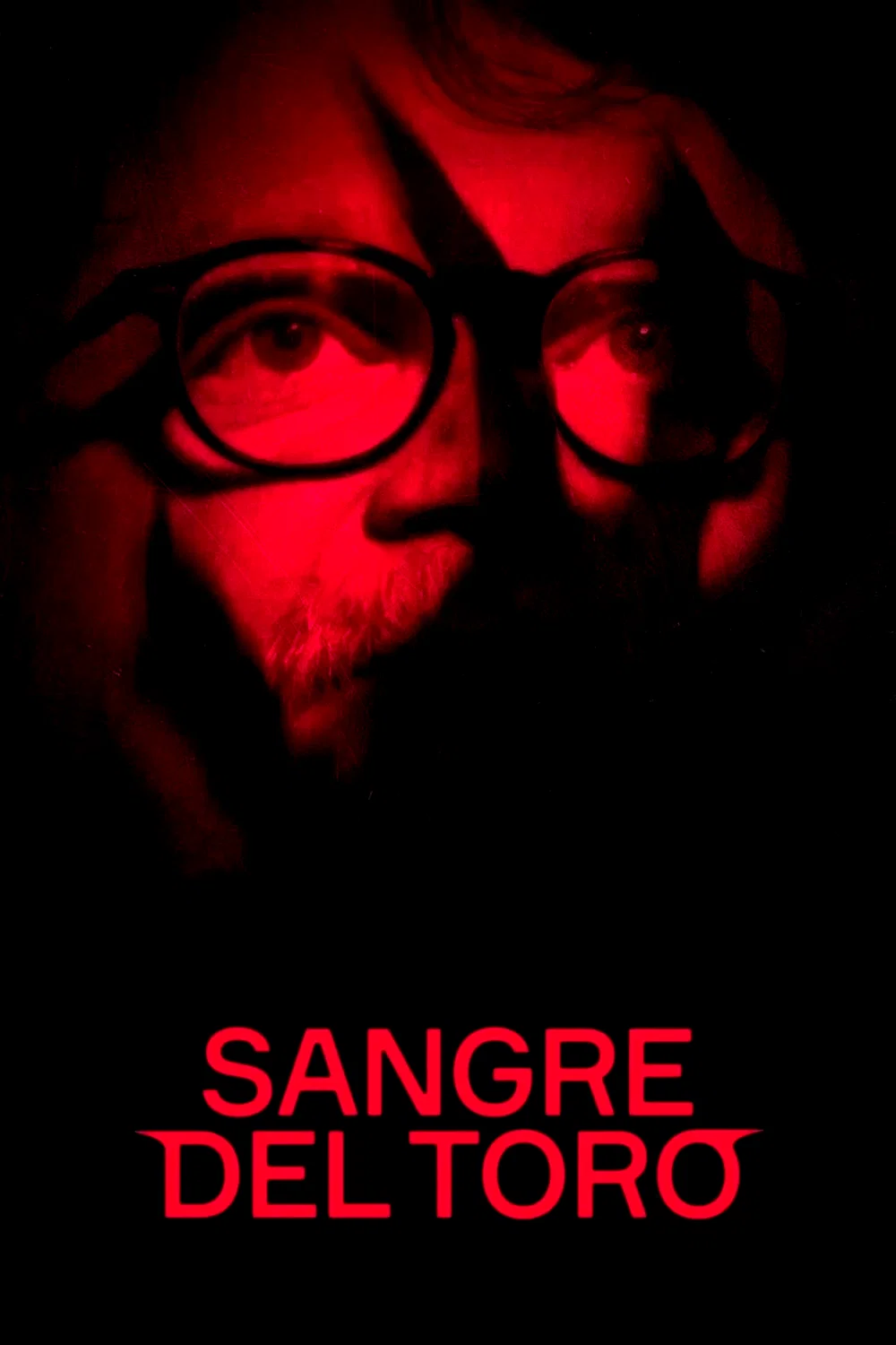 Affiche du film : Sangre del Toro