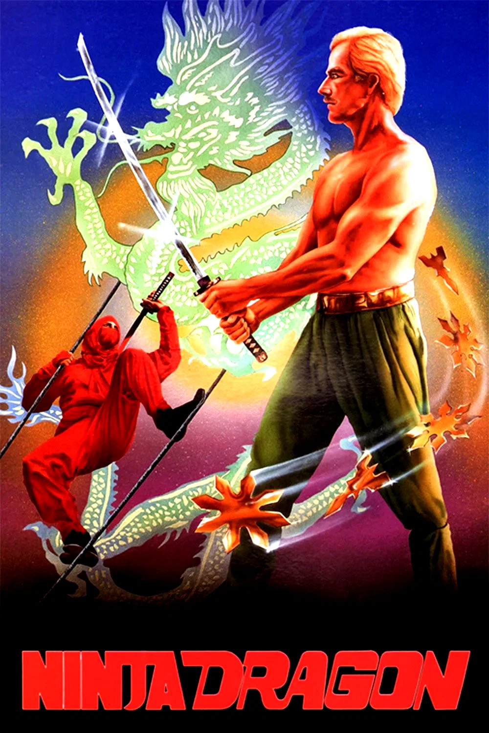 Affiche du film : Ninja Dragon