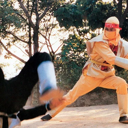 Miniature photo du film : Ninja Operation 5 - Godfather The Master