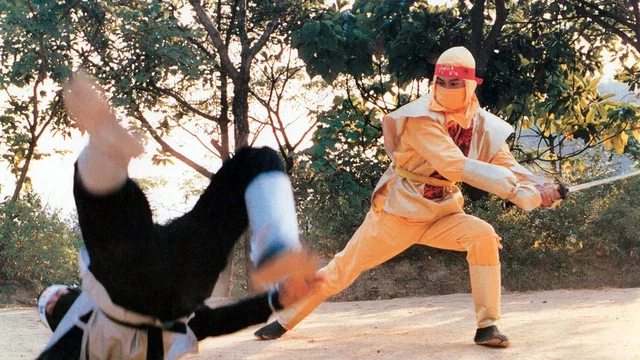 Photo du film : Ninja Operation 5 - Godfather The Master