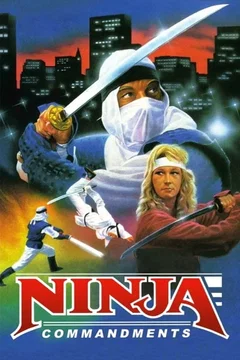 Affiche du film Ninja Commandments