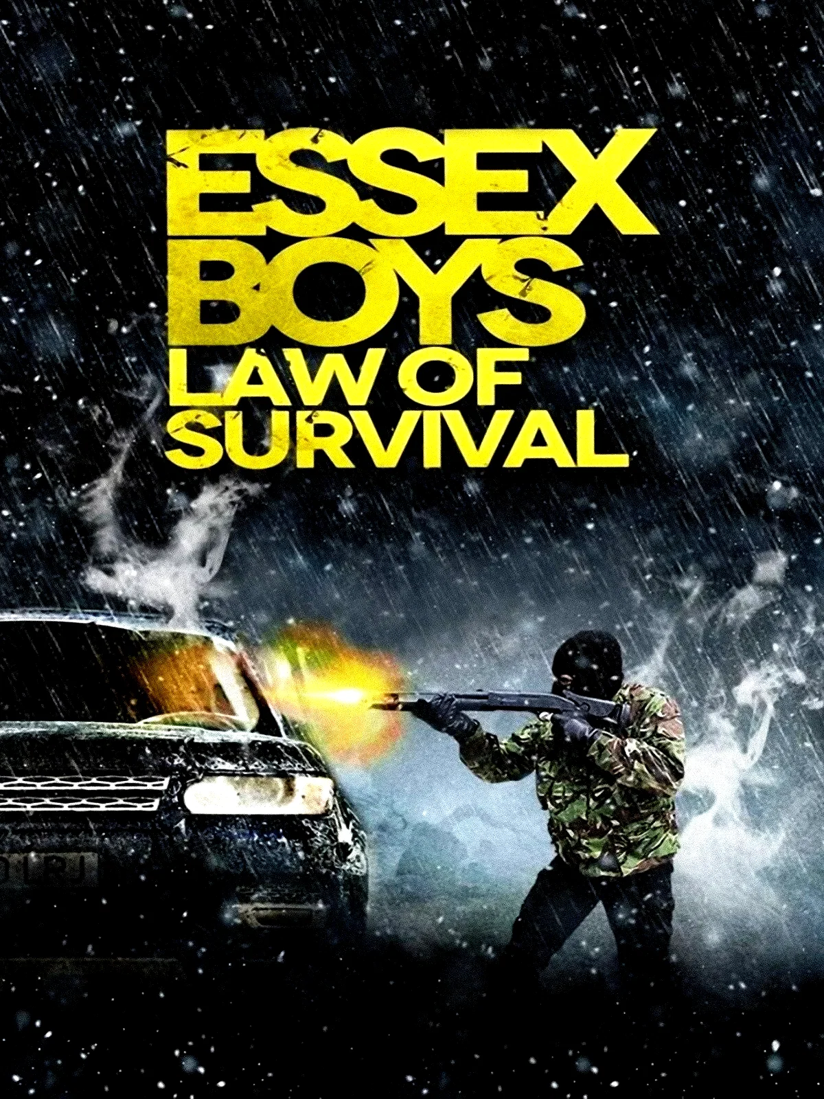 Affiche du film : Essex Boys: Law of Survival