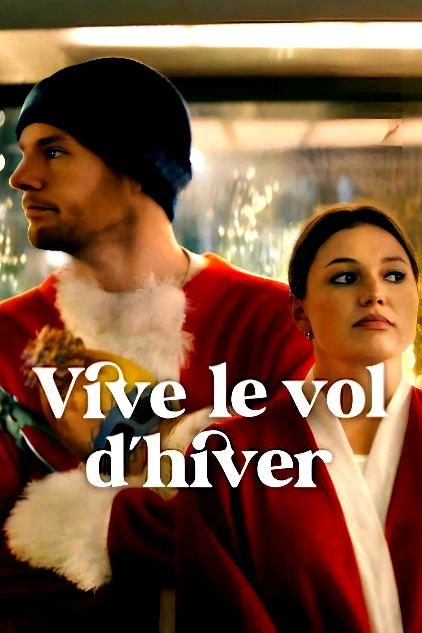Affiche du film : Vive le vol d'hiver