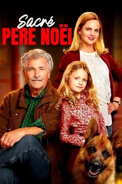 Affiche du film Sacré Père Noël
