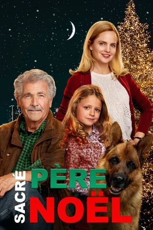Photo 2 du film : Sacré Père Noël