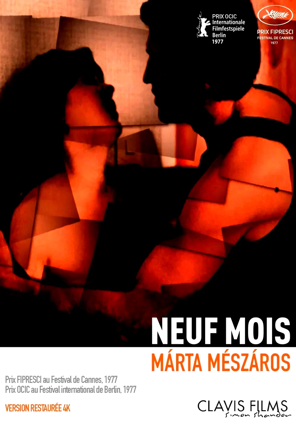 Affiche du film : Neuf mois