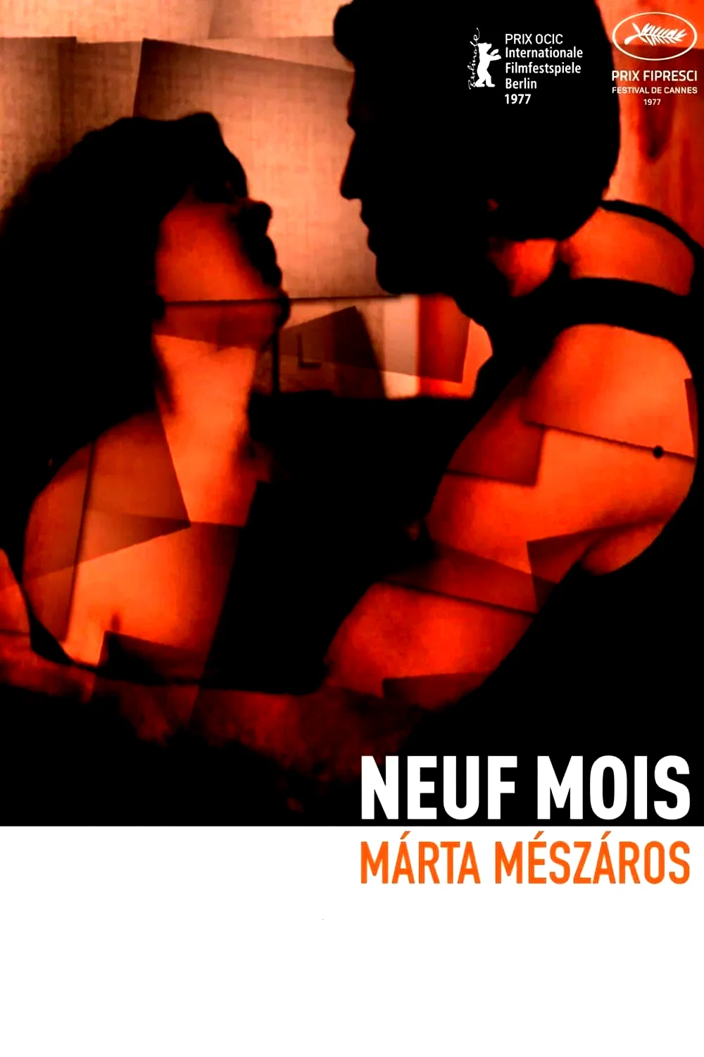 Photo 2 du film : Neuf mois