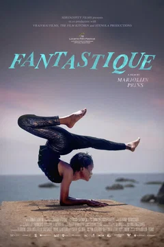Affiche du film = Fantastique