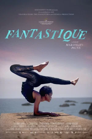 Affiche du film : Fantastique
