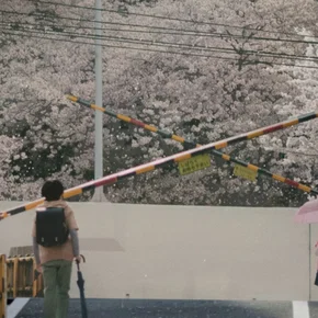 Photo du film : 5 centimètres par seconde