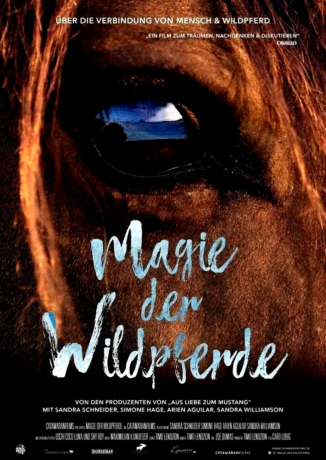 Affiche du film : La Magie des chevaux sauvages
