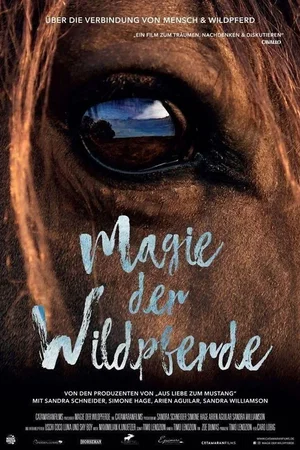 Affiche du film : La Magie des chevaux sauvages