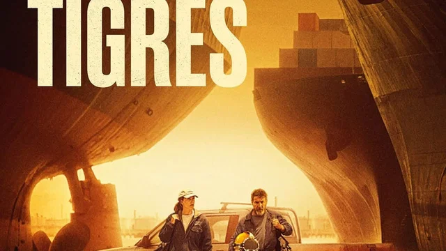 Affiche du film : Los Tigres