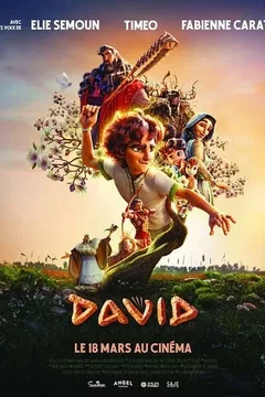 Affiche du film : David