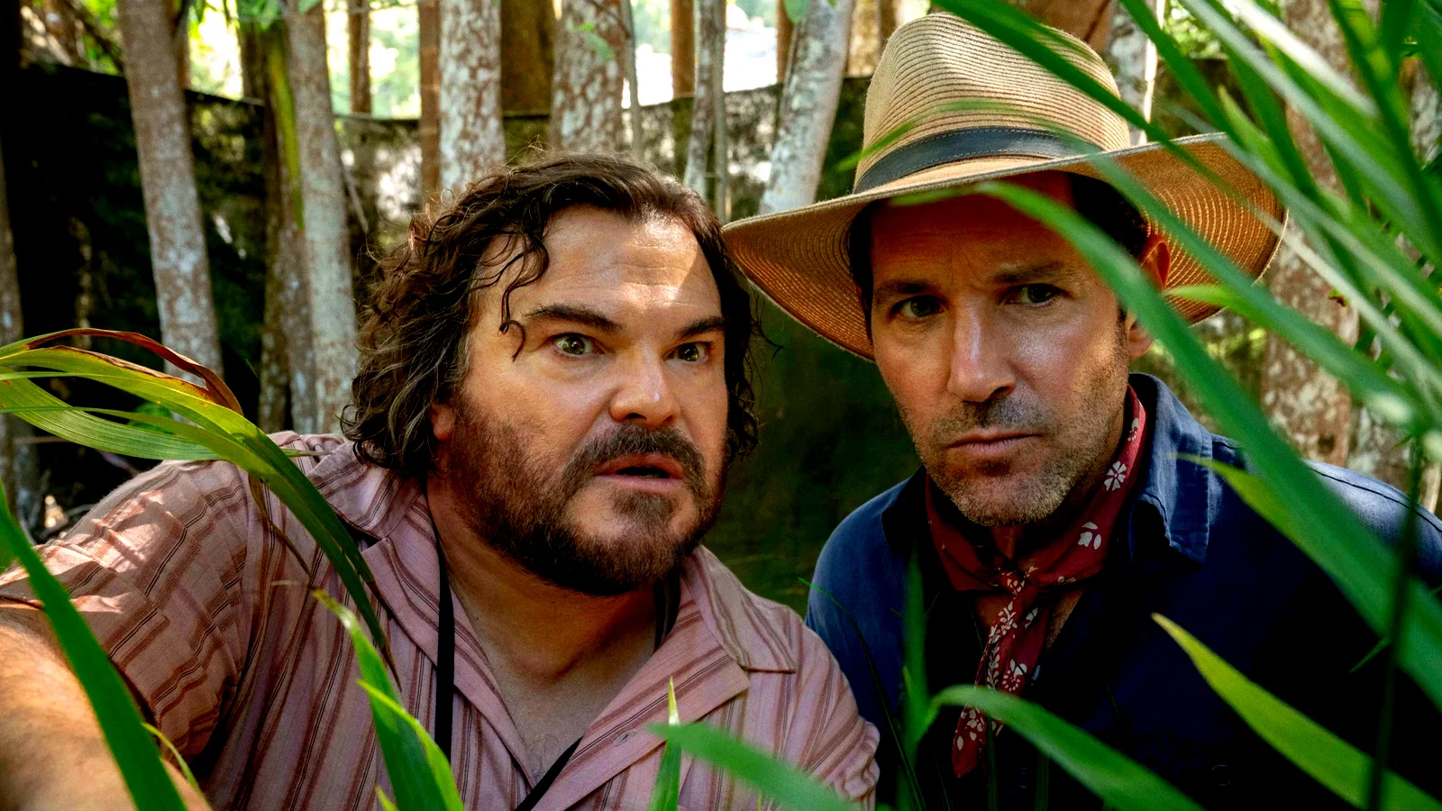 Photo 5 du film : Anaconda